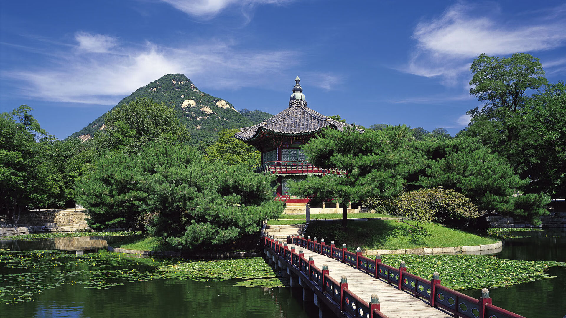 开云官网首页-《战术板:顶级队伍的战术分析与解读》,战术模板