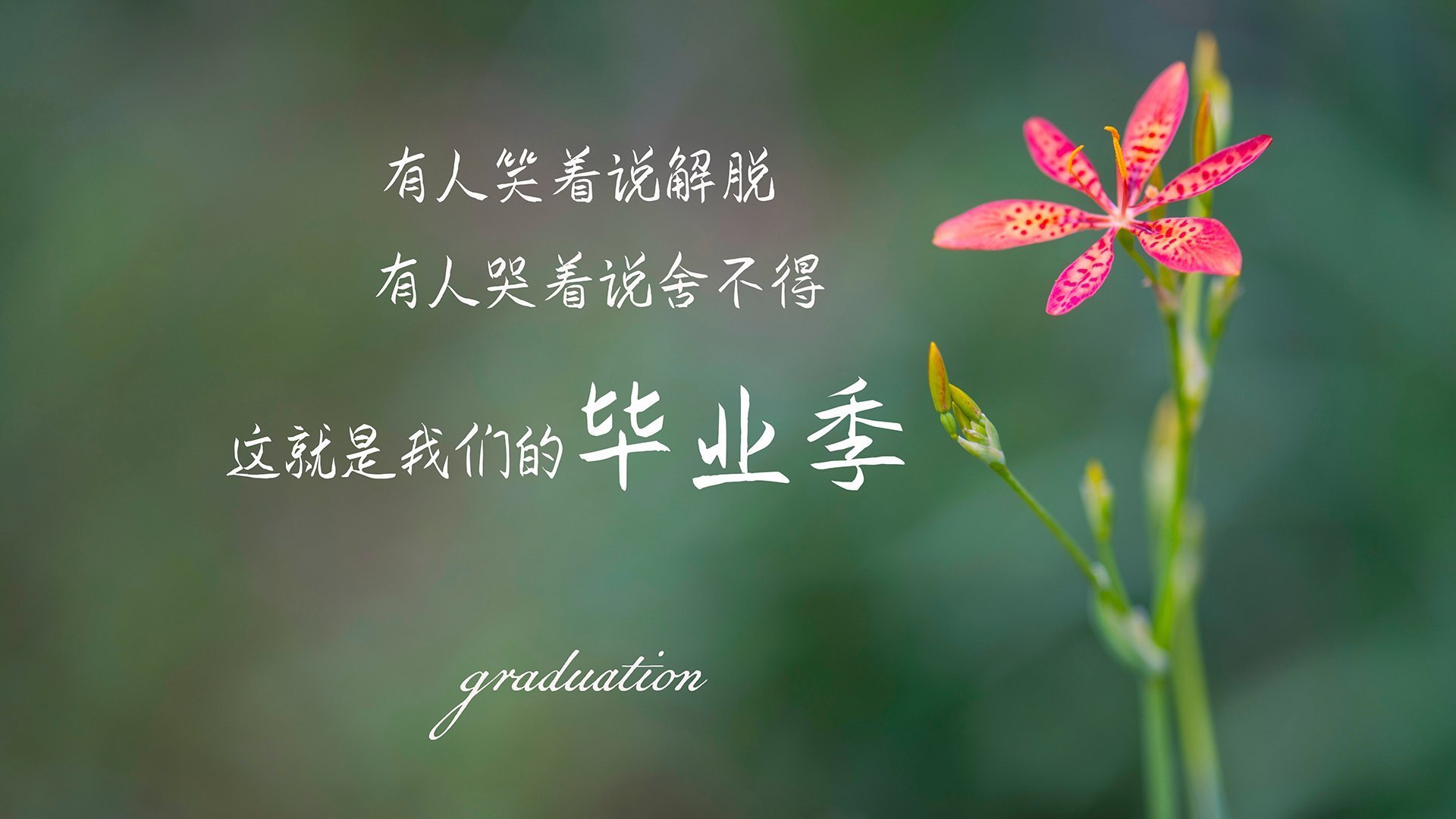 开云体育网页版入口-【名将谈战术】马克·塞尔比:细节决定成败,防守也能进攻,马克 塞尔比